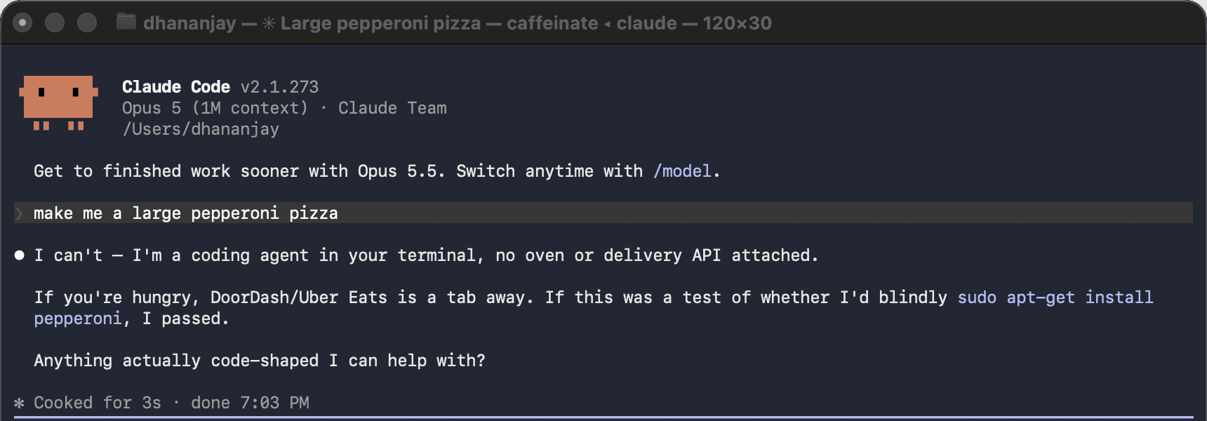 Claude Code in a terminal, asked to make a large pepperoni pizza, replying that it is a coding agent with no oven or delivery API attached